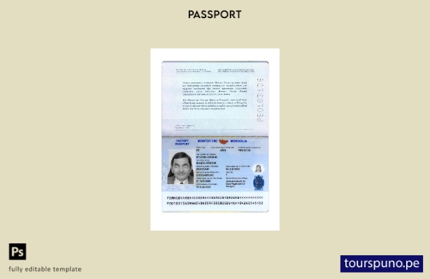 Listo para imprimir la plantilla actual del pasaporte de Mongolia